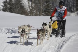 Kandersteg 2013